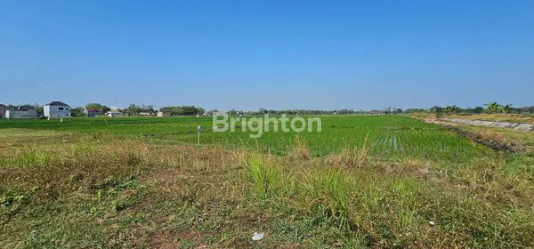 image TANAH ZONA MERAH SIAP BANGUN DI DESA GONDANG - SRAGEN (1)