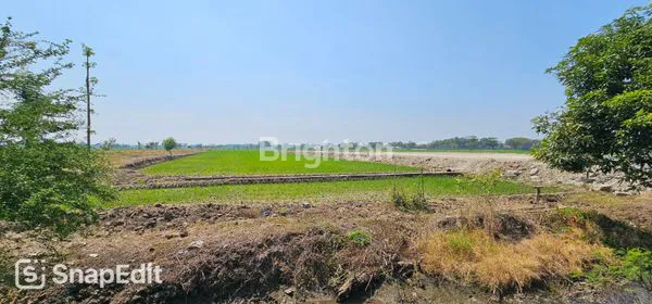 image TANAH ZONA MERAH SIAP BANGUN DI DESA GONDANG - SRAGEN (8)