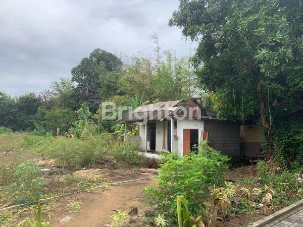 image 4,5 ARE KAVLING PREMIUM DEKAT PANTAI MERTASARI SANUR (3)