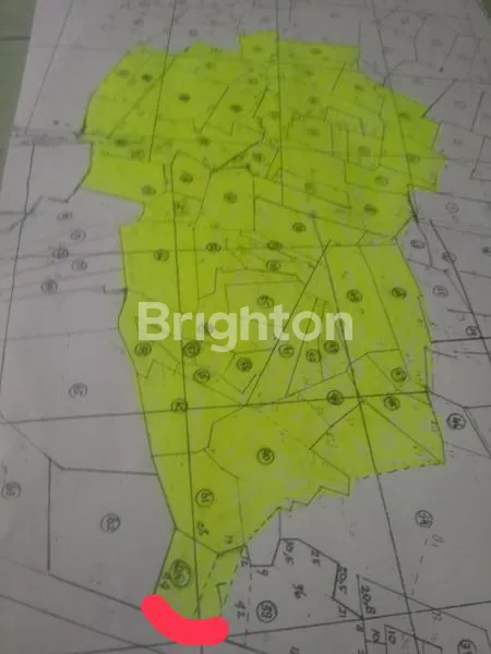 image TANAH LUAS, ZONA INDUSTRI, NOL JALAN PROVINSI, LAMONGAN (4)