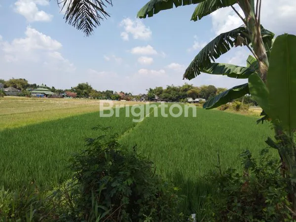 image SAWAH KLATEN, LOKASI STRATEGIS (1)