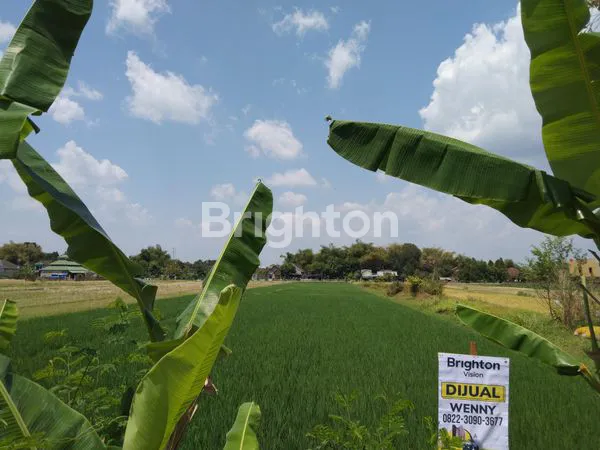 image SAWAH KLATEN, LOKASI STRATEGIS (2)