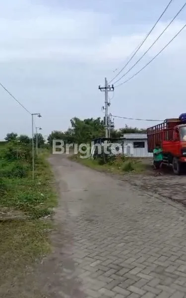 image GUDANG MURAH ZONA INDUSTRI DI BEJI PANDAAN (3)