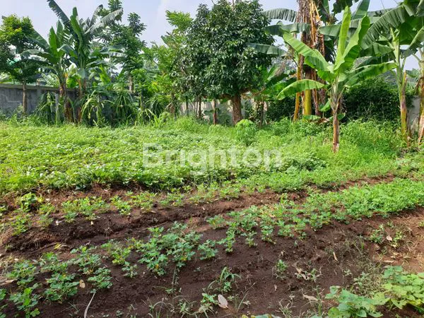 image KAVLING DI BAWAH HARGA PASAR SIAP UNTUK BANGUN RUMAH ATAU USAHA (2)