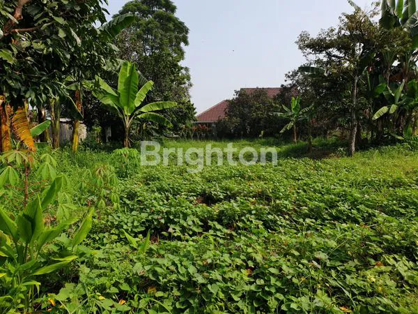 image KAVLING DI BAWAH HARGA PASAR SIAP UNTUK BANGUN RUMAH ATAU USAHA (3)