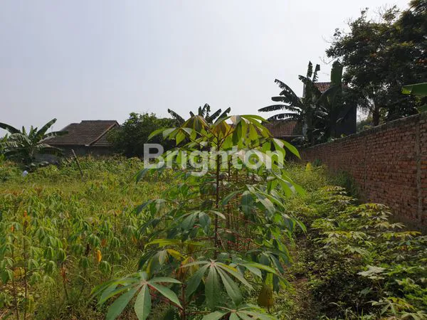 image KAVLING DI BAWAH HARGA PASAR SIAP UNTUK BANGUN RUMAH ATAU USAHA (4)