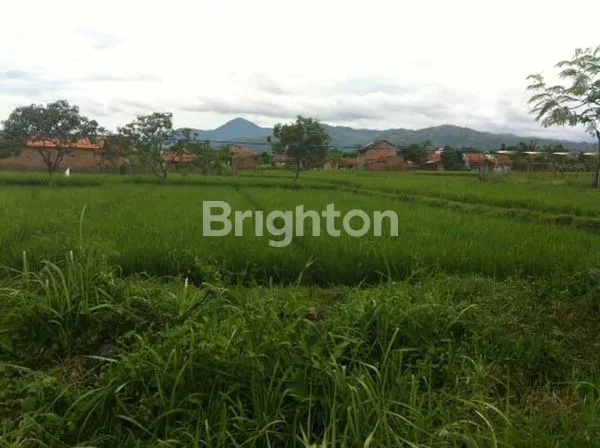 image MAINROAD SOREANG (2)