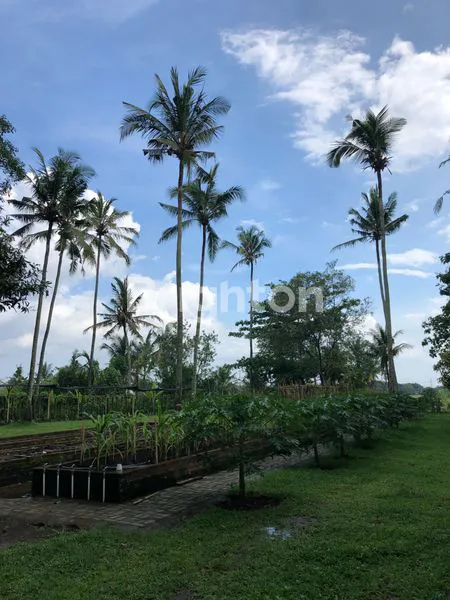 LEASEHOLD TANAH LOKASI PREMIUM KABA KABA TABANAN