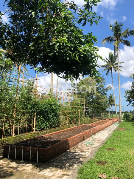 image LEASEHOLD TANAH LOKASI PREMIUM KABA KABA TABANAN (3)