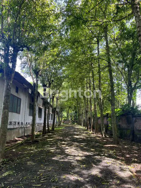 image LEASEHOLD TANAH LOKASI PREMIUM KABA KABA TABANAN (4)