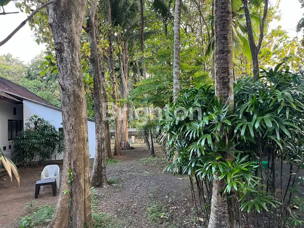 image LEASEHOLD TANAH LOKASI PREMIUM KABA KABA TABANAN (7)