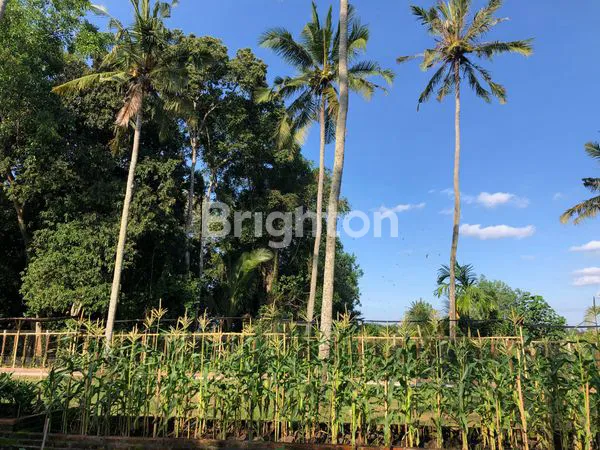 image LEASEHOLD TANAH LOKASI PREMIUM KABA KABA TABANAN (8)