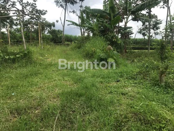 image TANAH STRATEGIS 1653M² DI TOYOMARTO (1)