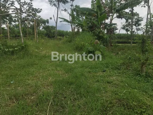 image TANAH STRATEGIS 1653M² DI TOYOMARTO (2)