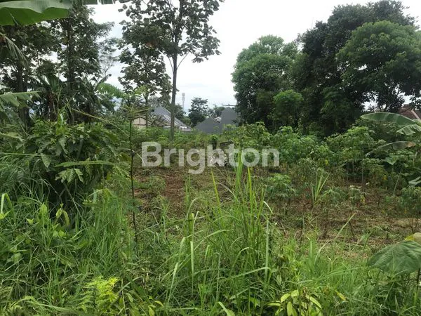 image TANAH STRATEGIS 1653M² DI TOYOMARTO (3)