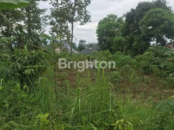 image TANAH STRATEGIS 1653M² DI TOYOMARTO (4)