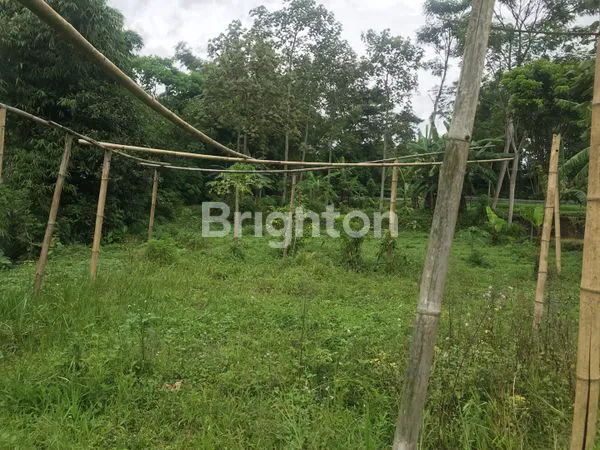 image TANAH STRATEGIS 1653M² DI TOYOMARTO (5)