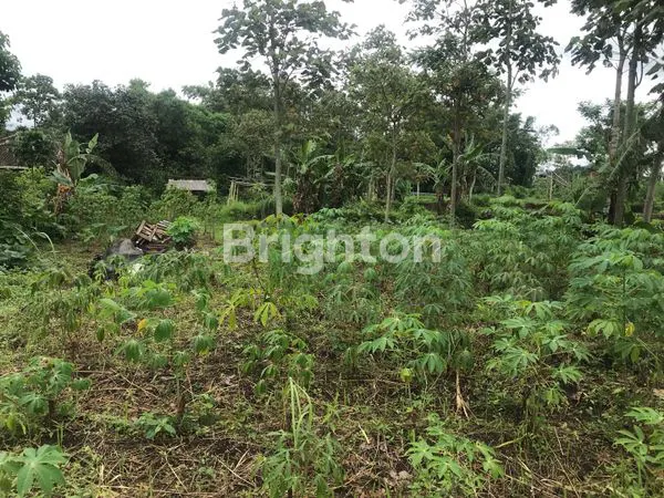 image TANAH STRATEGIS 1653M² DI TOYOMARTO (7)