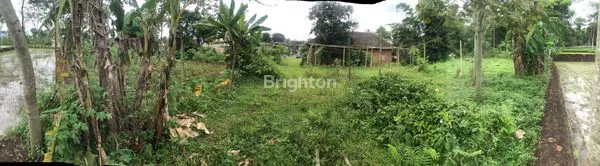 image TANAH STRATEGIS 1653M² DI TOYOMARTO (8)