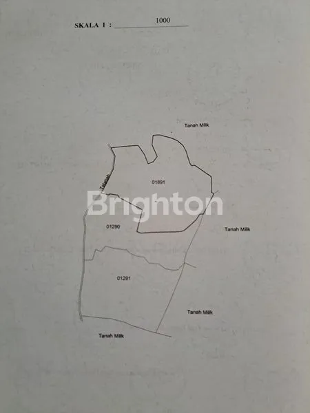 image TANAH AREA SIDEMEN KARANGASEM VIEW GUNUNG AGUNG (6)