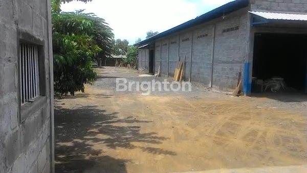 image PABRIK MEBEL PASURUAN (5)