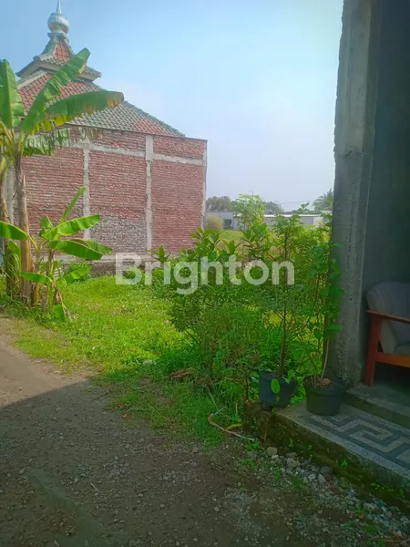 image TANAH DI KETAWANG PASAR JUMAT LEGI, JOGO SATRU, SIDOARJO (1)