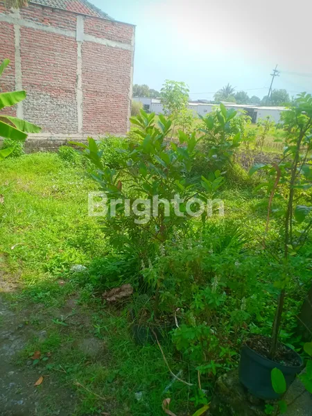 image TANAH DI KETAWANG PASAR JUMAT LEGI, JOGO SATRU, SIDOARJO (2)