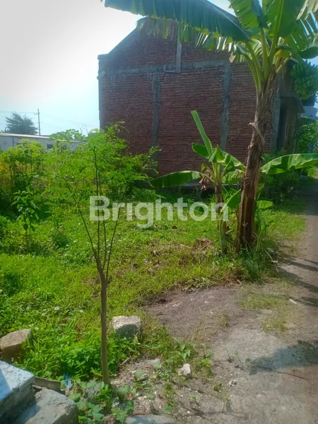 image TANAH DI KETAWANG PASAR JUMAT LEGI, JOGO SATRU, SIDOARJO (3)