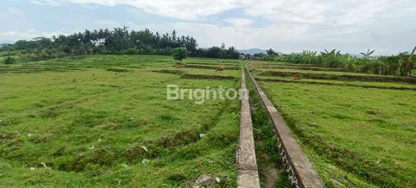 image TANAH CANTIK TEPI PANTAI 5 ARE DI YEH SUMBUL NEGARA (5)