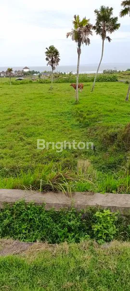 image TANAH CANTIK TEPI PANTAI 5 ARE DI YEH SUMBUL NEGARA (3)