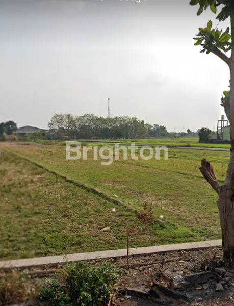 image TANAH COCOK UNTUK PERUMAHAN (3)