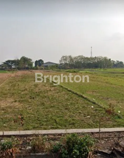 image TANAH COCOK UNTUK PERUMAHAN (4)