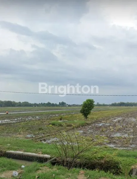 image LAHAN INDUSTRI SAMBUNG MACAN (3)