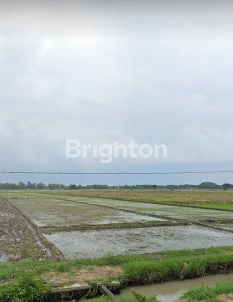 image LAHAN INDUSTRI SAMBUNG MACAN (4)