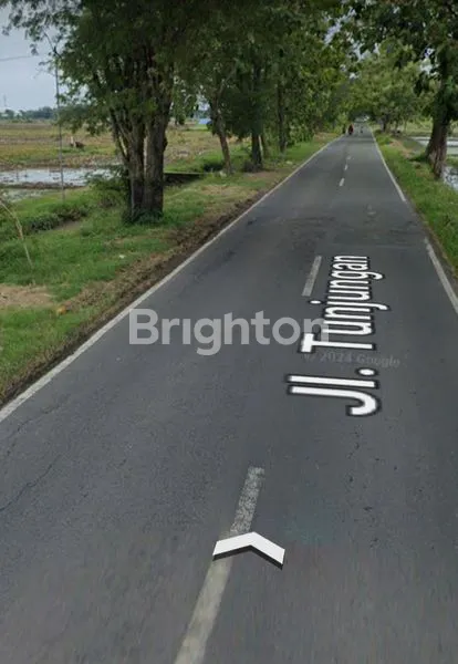 image LAHAN INDUSTRI SAMBUNG MACAN (2)