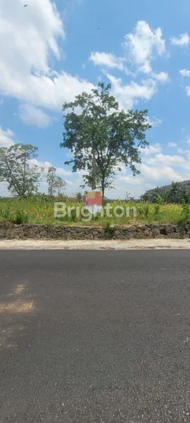 image TANAH KEBUN 0 JALAN KAWASAN PERBUKITAN (1)