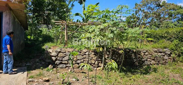 image RUMAH DAN TANAH STRATEGIS DI PINGGIR JALAN RAYA  HASANUDIN SALATIGA (8)