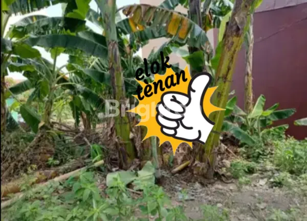 image TANAH STRATEGIS COCOK BUAT DIBANGUN RUMAH TINGGAL, USAHA, KOS (1)