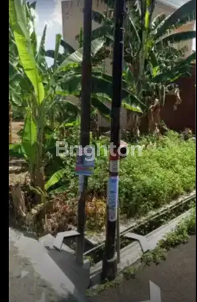 image TANAH STRATEGIS COCOK BUAT DIBANGUN RUMAH TINGGAL, USAHA, KOS (2)