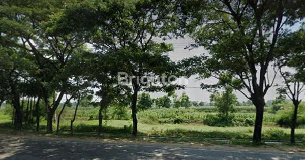 JUAL TANAH TUBAN 0 JALAN