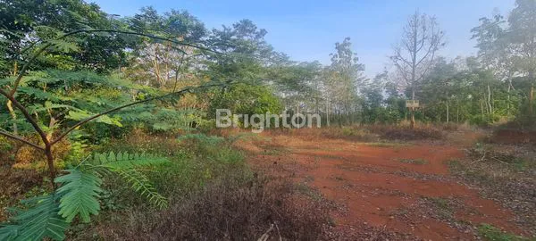 image COCOK UNTUK INVESTASI TANAH DI BSB SEMARANG VIEW DANAU (2)