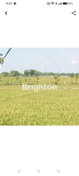 SAWAH YANG PRODUKTIF