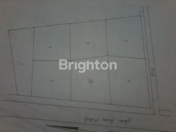 image LAHAN CANTIK SANGATTA UTARA (3)