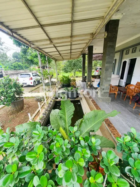 image RUMAH VILLA PLUS KEBUN CIBEUTEUNG UDIK CISEENG (4)