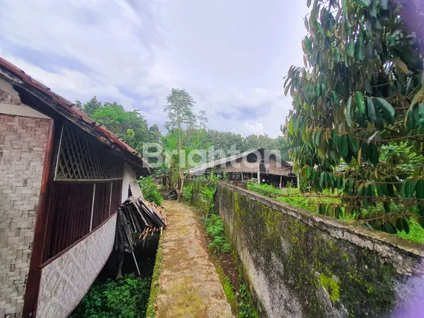 image RUMAH VILLA PLUS KEBUN CIBEUTEUNG UDIK CISEENG (6)