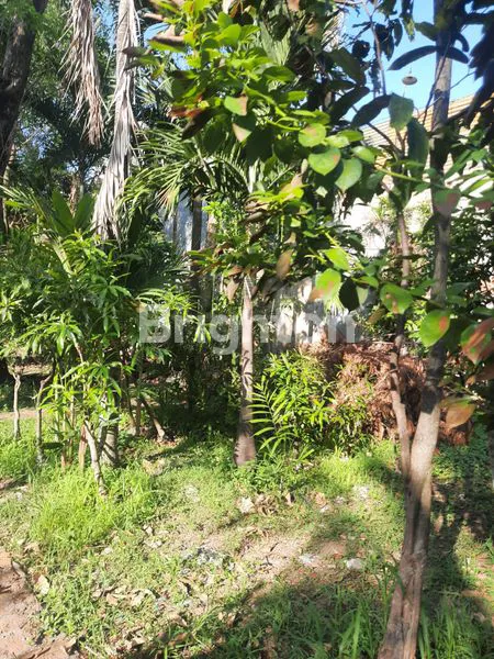 image *LAHAN TANAH PEKARANGAN SANGAT STRATEGIS PINGGIR JL ADISUCIPTO COLOMADU* (4)