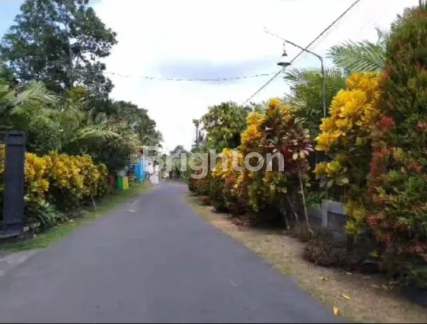 image PEKARANGAN ARGOWISATA TURI KALIURANG (1)