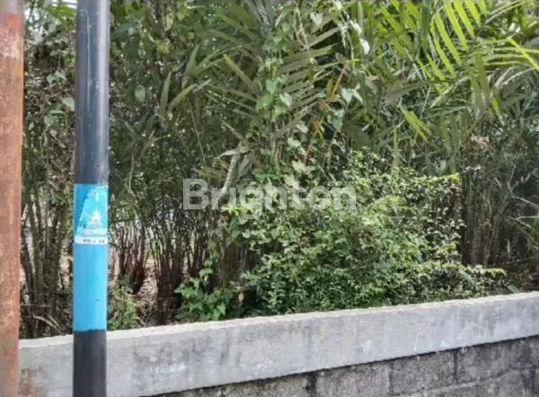 image PEKARANGAN ARGOWISATA TURI KALIURANG (2)