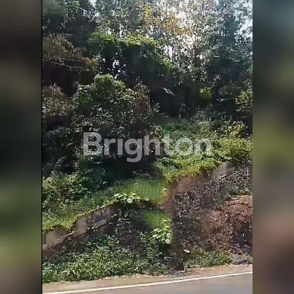 image TANAH 3/4 HEKTAR KASEMBON MALANG (3)