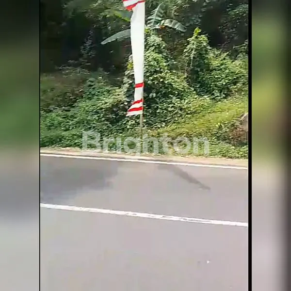 image TANAH 3/4 HEKTAR KASEMBON MALANG (5)